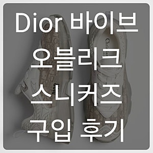 디올 바이브 스니커즈 Dior 오블리크 운동화 샀어요!
