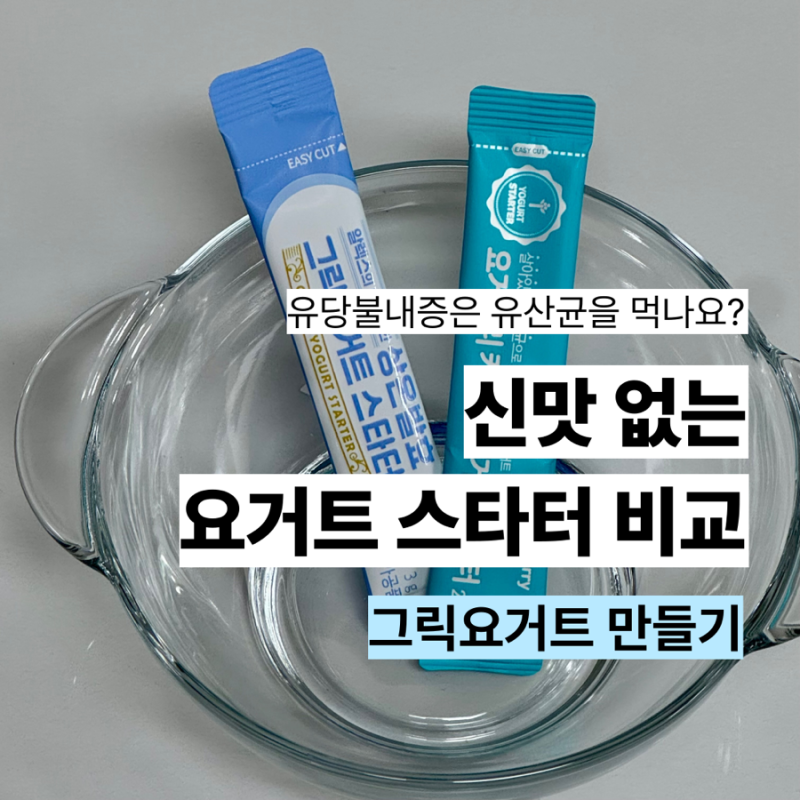 유당불내증 유산균?!락토프리 수제요거트 & 요거트 스타터 비교 내돈내산