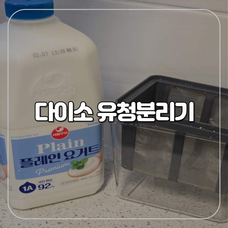 다이소 신상 추천템 유청분리기 사용 그릭요거트 제조 후기