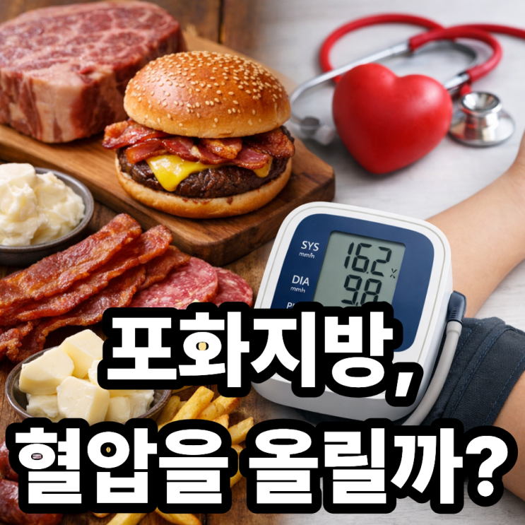  포화지방과 혈압 상승의 관계, 정말 직접적인 원인일까?