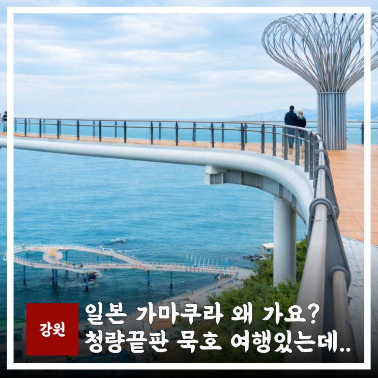  묵호여행 인생샷 코스, 일본 가마쿠라 왜 가요?