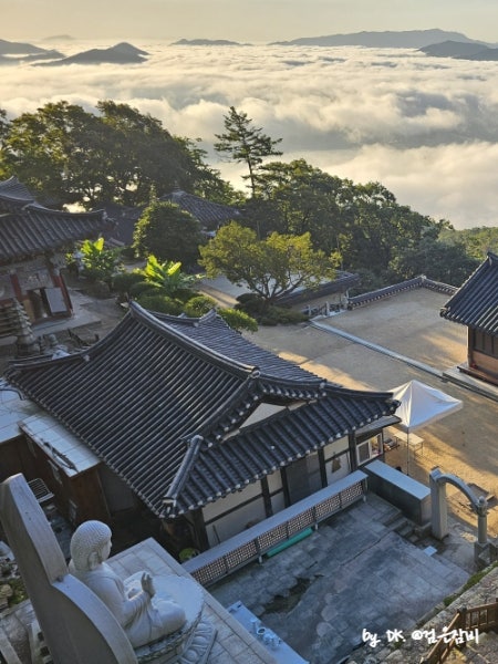  봄 산행 추천 국내 운해 명소 경기도 일출 천마산 등산 코스 서울 근교 산 리스트5
