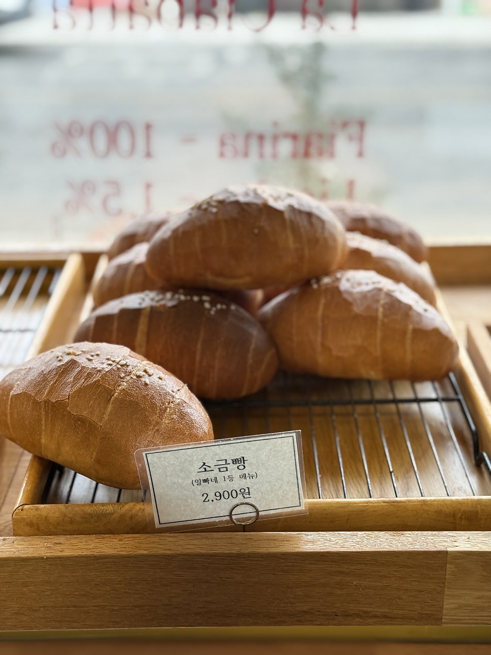 일빠네 사진 5