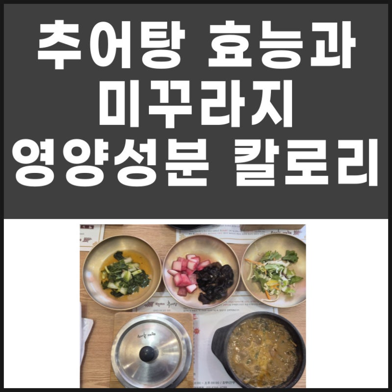 추어탕 효능과 미꾸라지 영양성분 칼로리