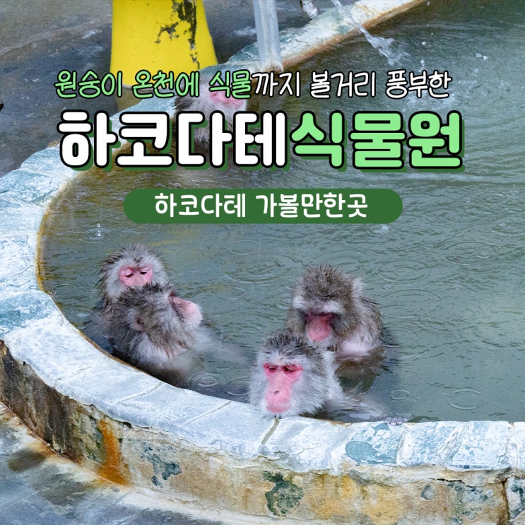  하코다테 가볼만한곳 열대식물원 입장료 시간 주차