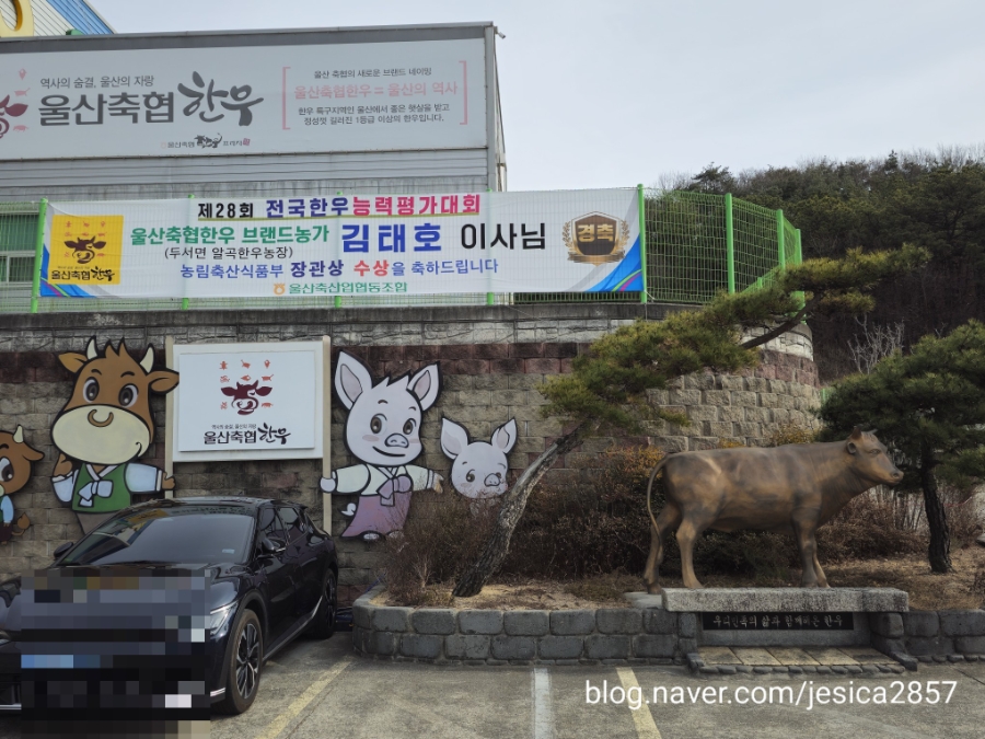 한우직판장 사진 4