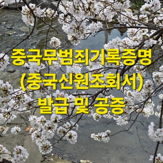  해외 대학원 진학을 위한 한국인 중국신원조회서(중국무범죄기록증명) 발급 사례