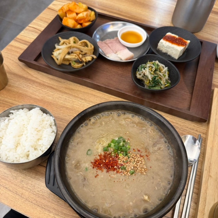  [제주담돌 마곡본점] 발산 고사리 육개장 마곡 혼밥 제주 음식 맛집 내돈내산 후기
