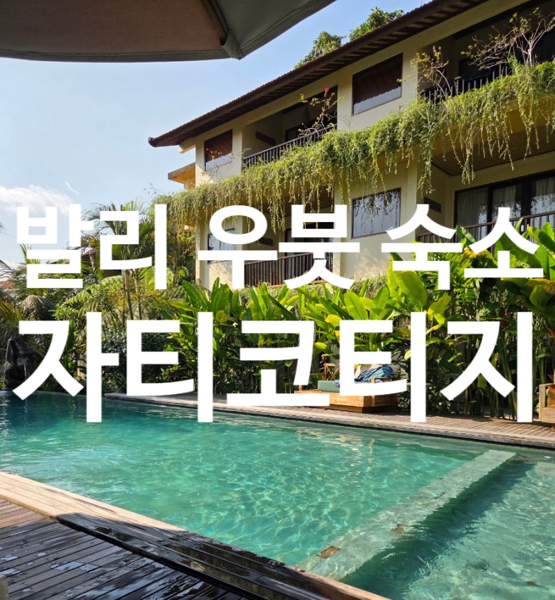 사진 7
