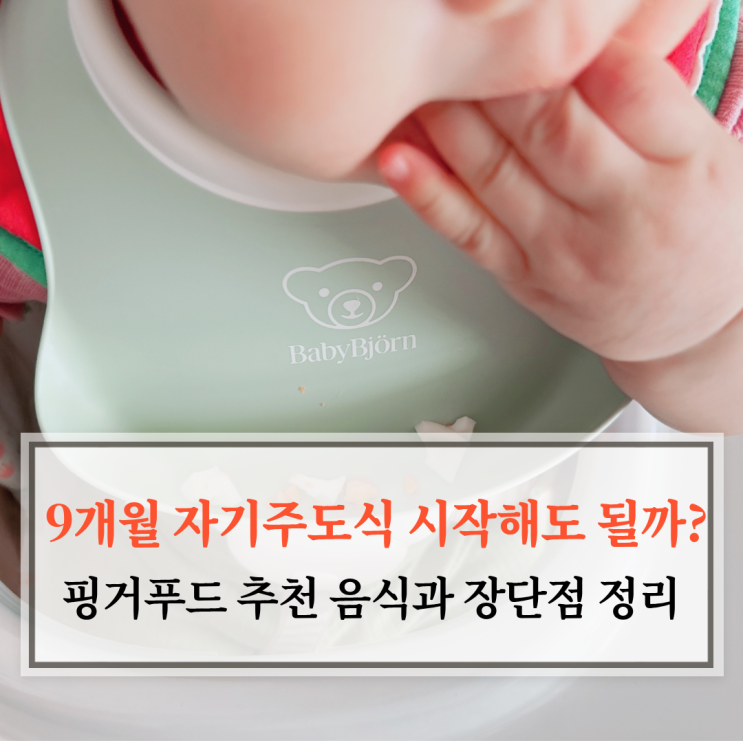  9개월 자기주도식 시작해도 될까? 핑거푸드 추천 음식과 장단점 정리