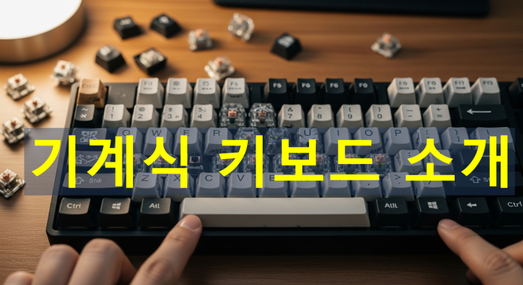 데스크테리어를 위한 기계식 키보드 유용한 정보