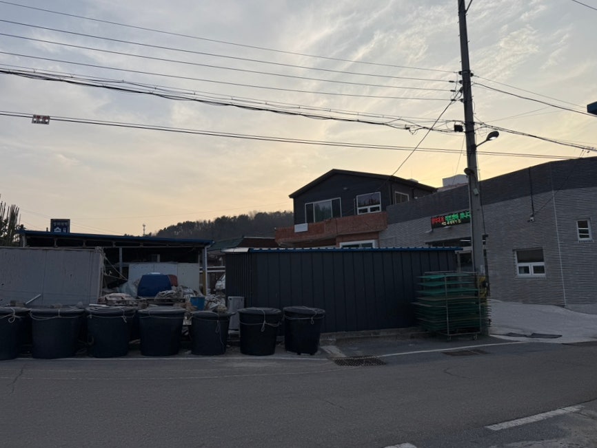 순양호영덕대게직판장 사진 5