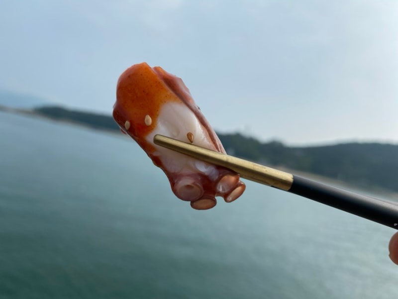 문어숙회 맛있게 삶는 법 (1kg 기준 삶는 시간 공개) 돌문어 특징까지