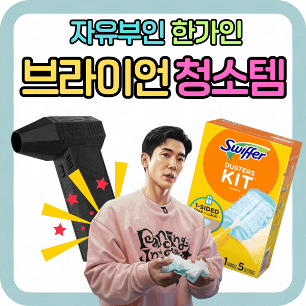 브라이언 한가인 청소템 청소꿀팁 에어건 먼지털이