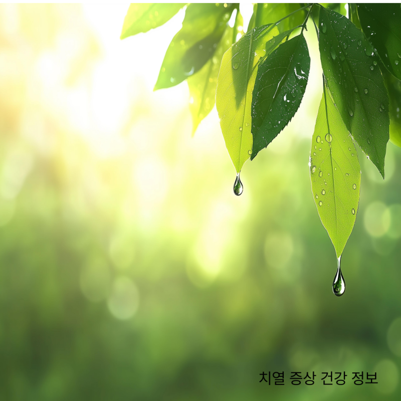 화장실 갈 때마다 찌릿? 단순 치질 아닌 '치열' 증상과 해결법 총정리!