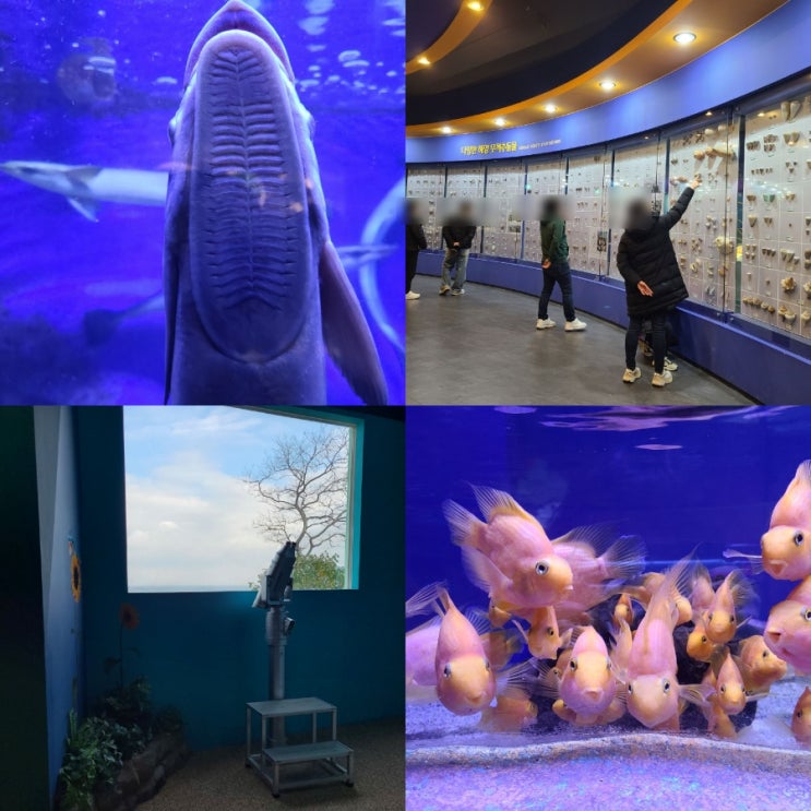  여수 아이와 가볼만한곳 전라남도 해양수산과학관