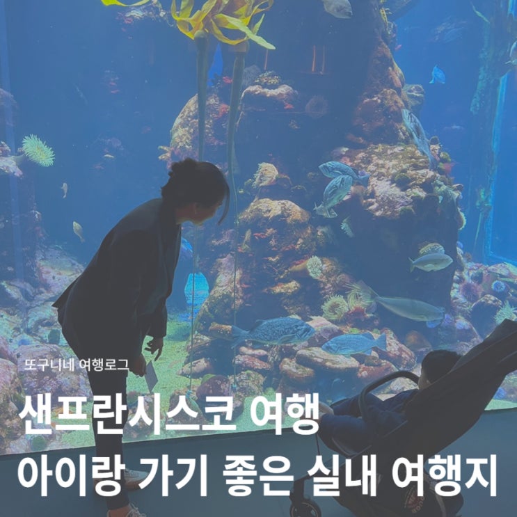  샌프란시스코 여행 캘리포니아 과학 아카데미 후기, 아이랑 가기 좋은 실내 여행지