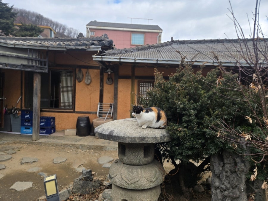 평상마루 사진 4
