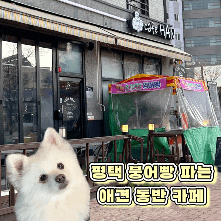  평택 비전동 소사벌 애견 동반 카페 붕어빵과 크로플 맛집 카페한