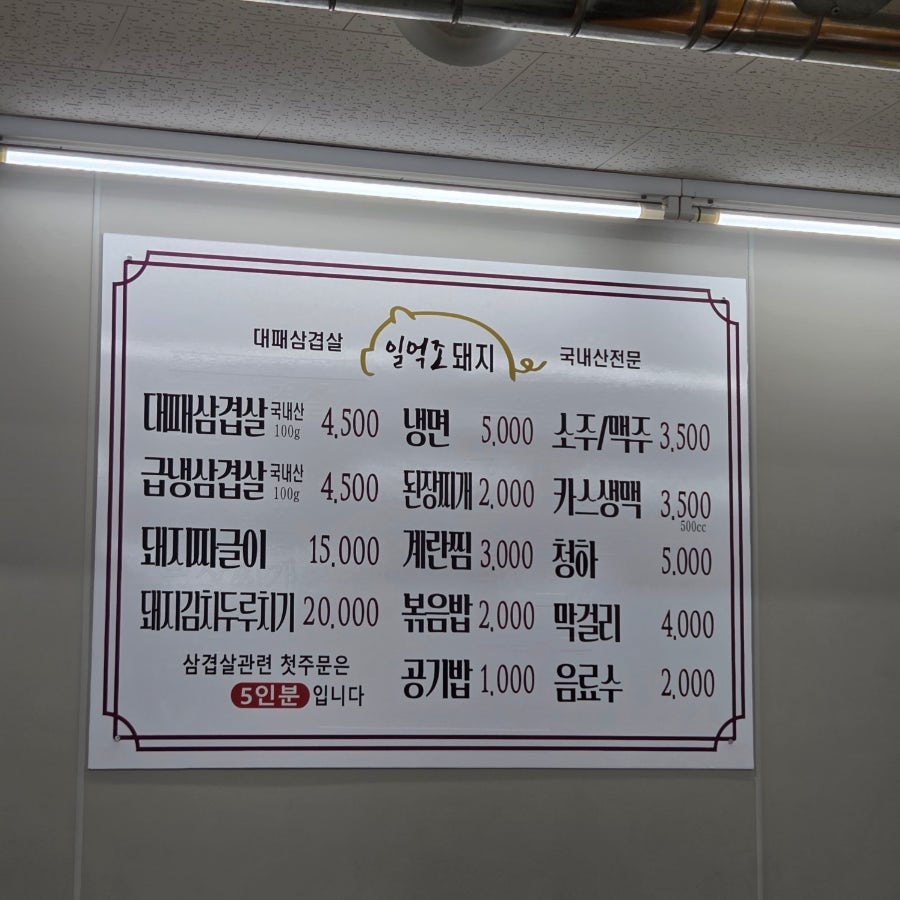 일억조돼지 사진 4