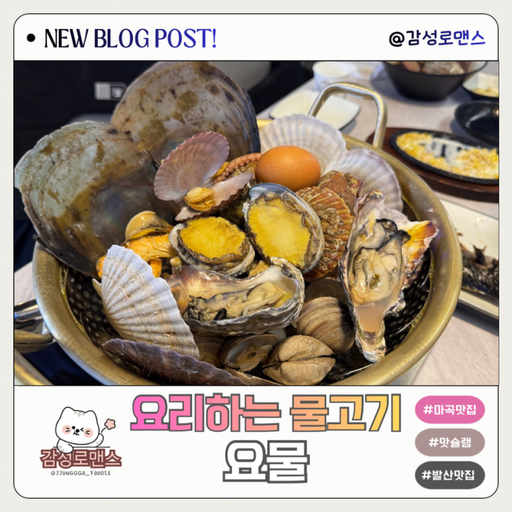  지상렬이 인정한 맛슐랭 맛집 요리하는 물고기 요물 마곡발산점