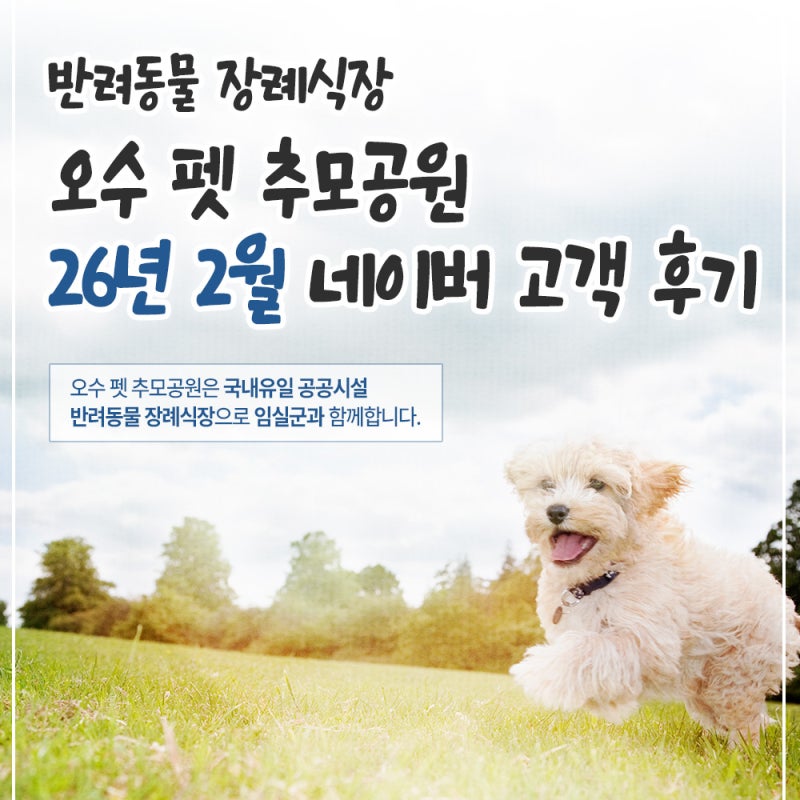 사진 6