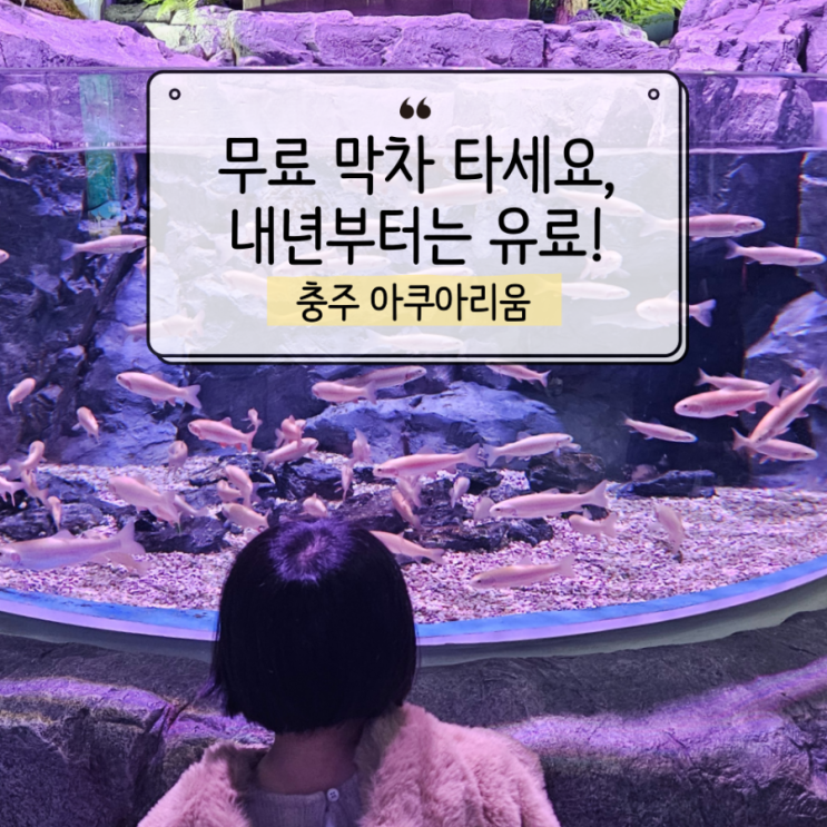  충주아쿠아리움 올해까지 무료개방 연장! 아이랑 다녀온 솔직 후기