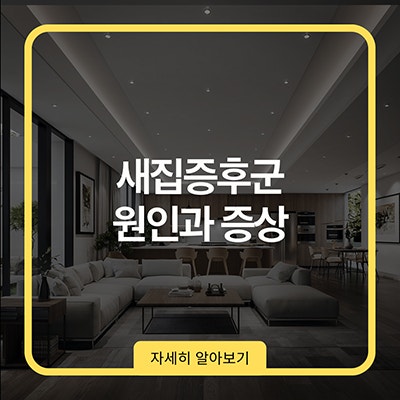  새집증후군 원인과 증상