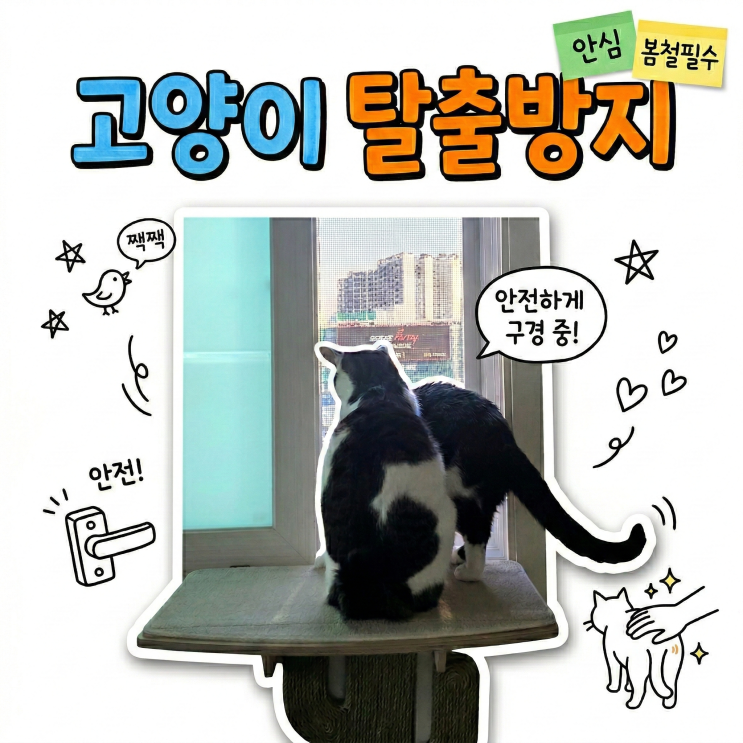  봄철 고양이 가출 1위 원인! 찢어지는 방충망 막는 방묘창 필수템 2가지