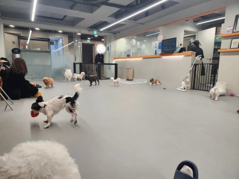 사진 4