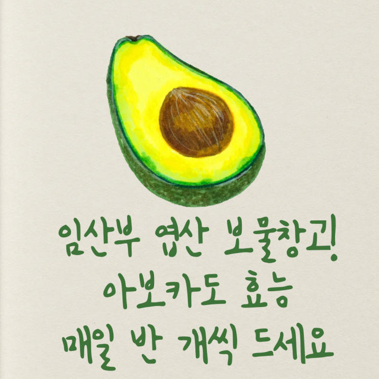  임산부 엽산 보충부터 피부 관리까지! 아보카도 한개 칼로리와 효능 하루 권장량(칼로리 걱정 NO)