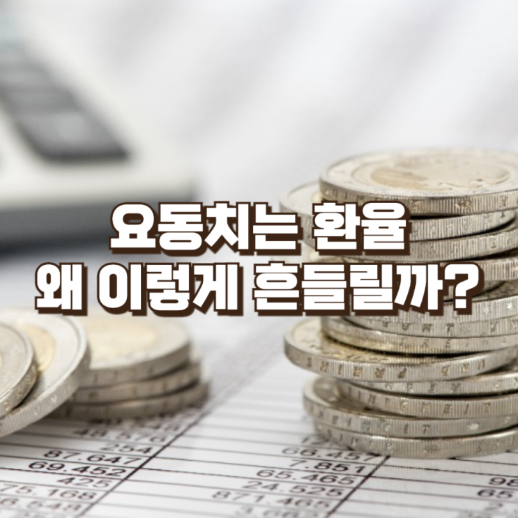  요동치는 환율, 왜 이렇게 흔들릴까?― 단기 변동의 핵심은 ‘심리’다
