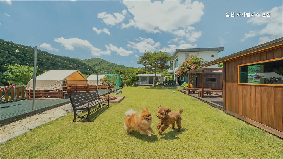 까사펠리스 사진 5