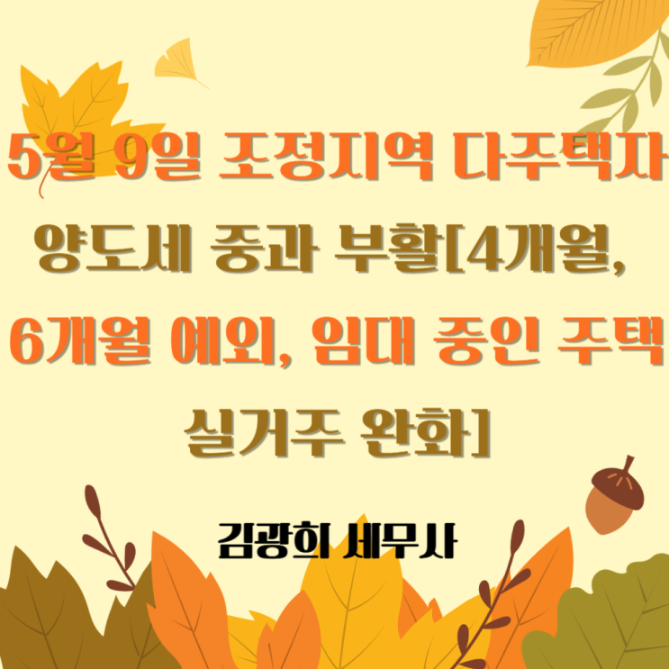  5월 9일 조정지역 다주택자 양도세 중과 부활[4개월, 6개월 예외, 임대 중인 주택 실거주 완화]