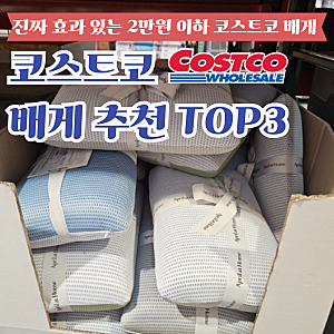 목 때문에 두통있는 남자친구가 이제 안아프대요 자취생 추천 2만원 이하 코스트코 배게 TOP3