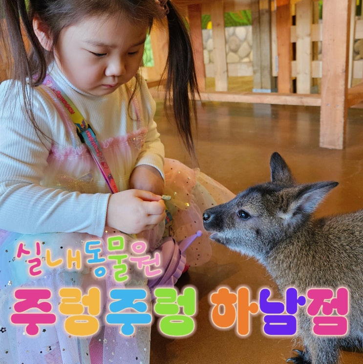  하남실내동물원 주렁주렁하남, 주말에 아이랑 다녀온 솔직후기