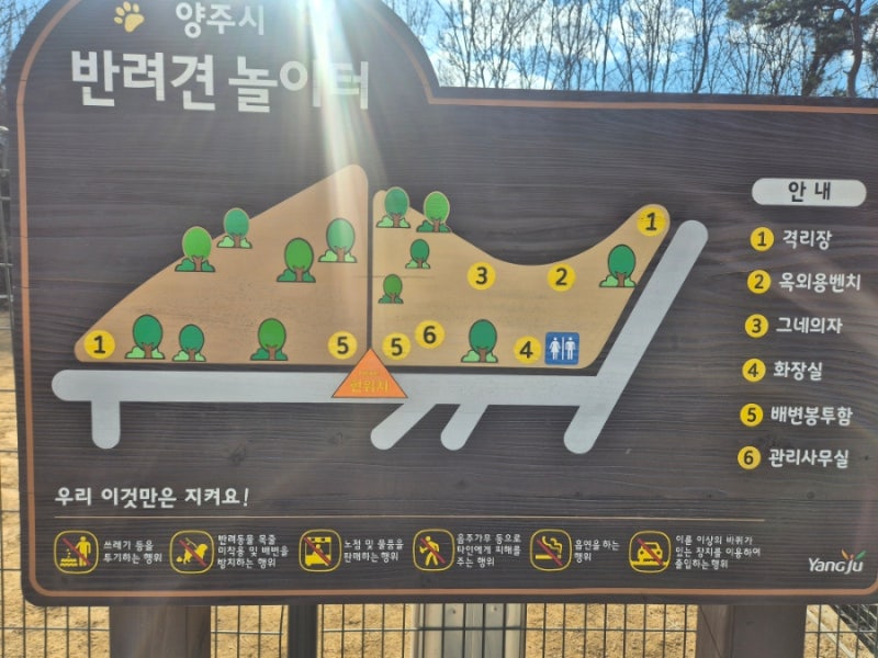 사진 6