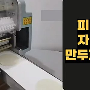 자동 만두피 기계 지름 11cm 대형 왕만두피 내돈내산 후기 (손목통증 끝! 만두 만들기 신세계)