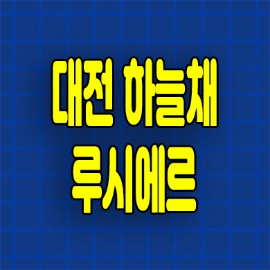  대전 하늘채 루시에르 아파트 선화동 미분양아파트 잔여세대