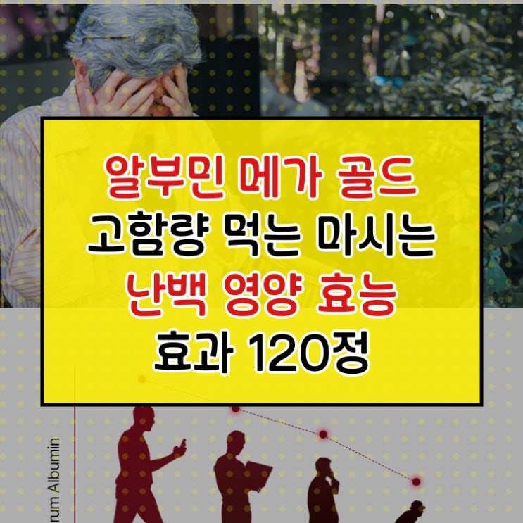  알부민 메가 골드 고함량 먹는 마시는 난백 영양 효능 효과 120정 x 21통 자연새긴 핵심 포인트만 짚어드립니다