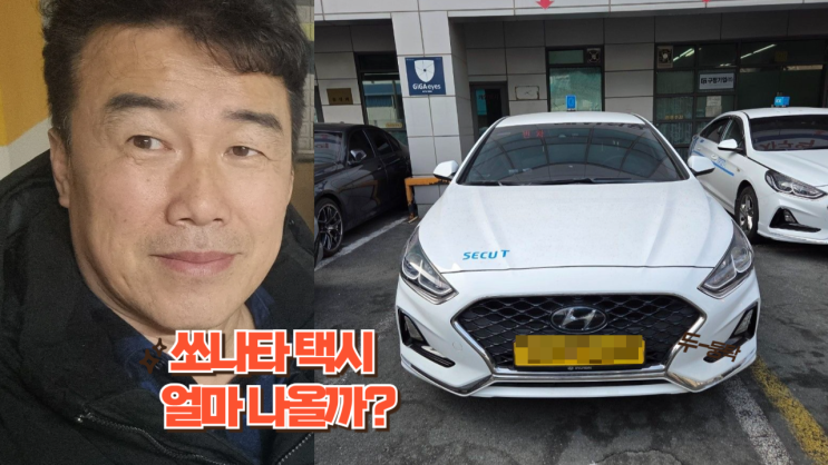  뉴 라이즈 쏘나타 개인택시 직접 수출 안산시 편