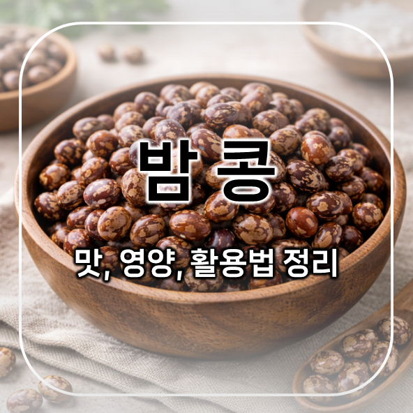  밤콩이란? 맛과 영양, 활용법까지 한 번에 정리