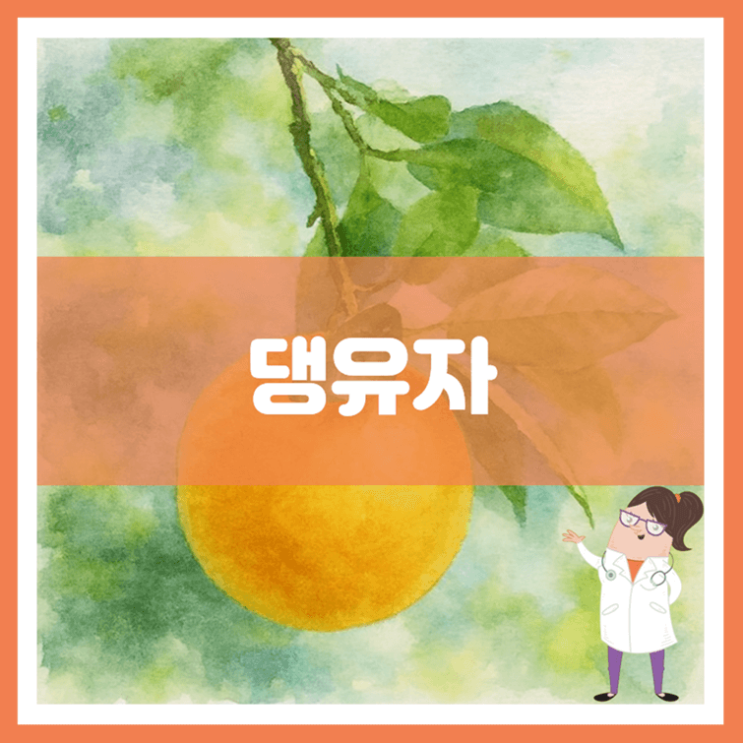  댕유자 효능 부작용 먹는 방법
