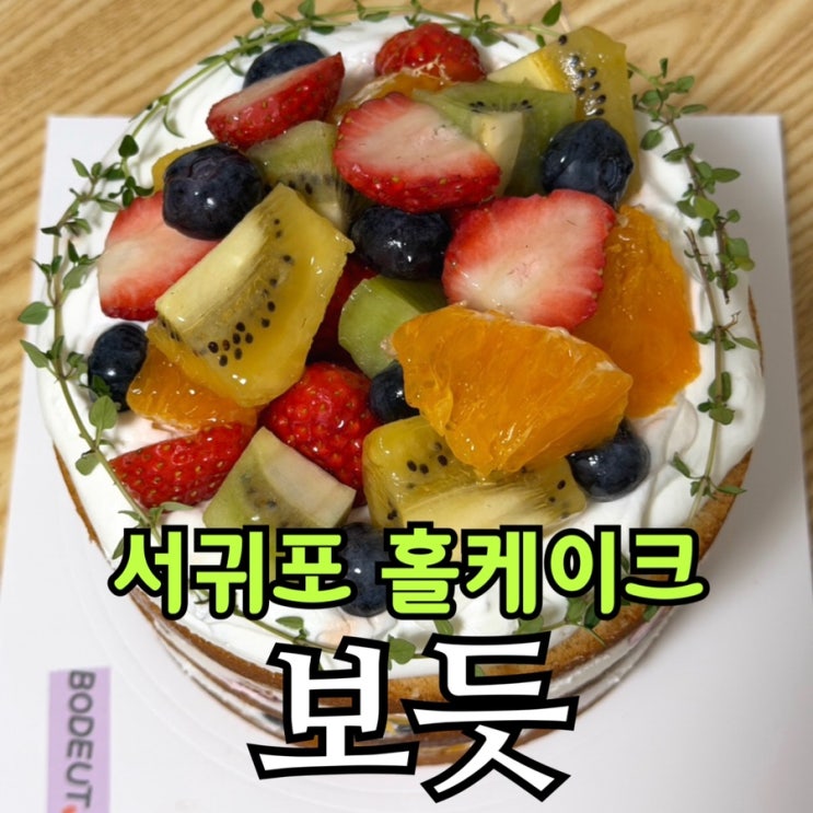  제주 서귀포 케이크 맛집 보듯 | 과일 몽땅 홀케이크 포장 솔직후기