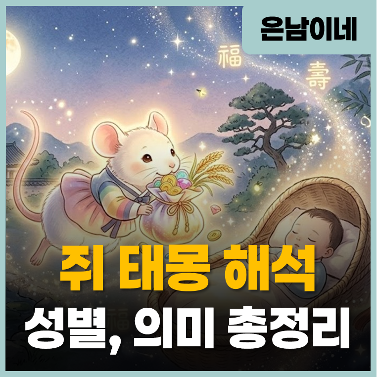 아빠가 직접 꾼 '푸른 쥐 태몽' 해석 (feat. 쥐 태몽 성별, 재물운 완벽 정리)