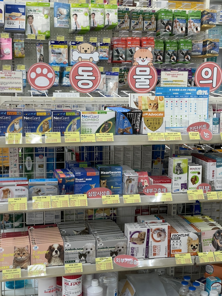 메디팜365약국 사진 3