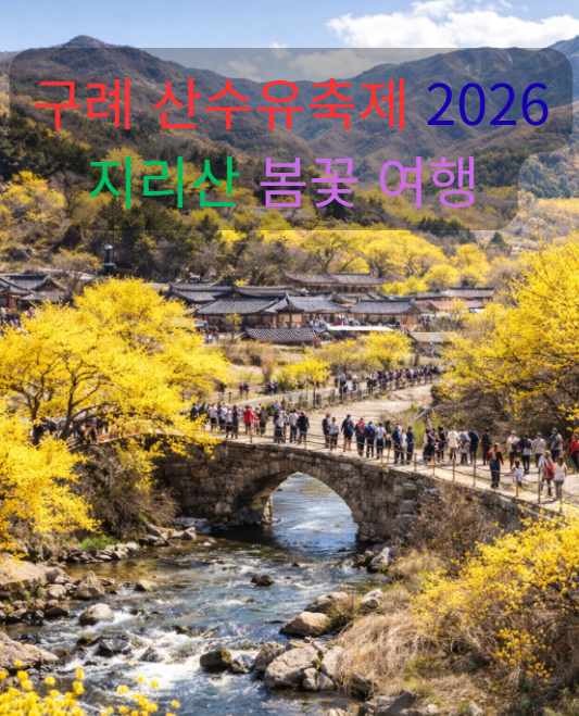 구례 산수유꽃축제 2026, 지금 바로 가야 하는 이유? 지리산 봄꽃 여행
