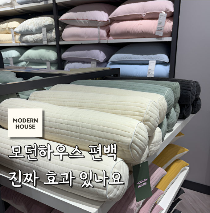 모던하우스 편백 베개 진짜 효과 있나요? 아직도 고민 중이라면 다들 모르는 포인트 모르시....