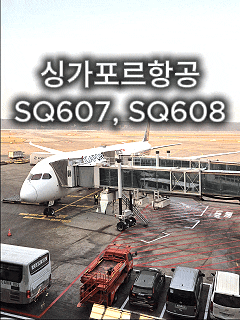  싱가포르 가족여행 항공 추천! 싱가포르항공 SQ607, SQ608 좌석·기내식·가격·인천공항 체크인 총정리