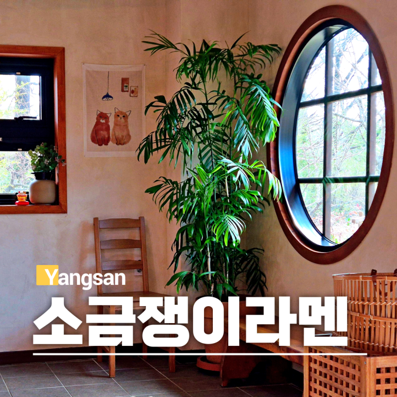 경남 양산 통도사 주변 맛집 소금쟁이 라멘 데이트 가볼만한곳